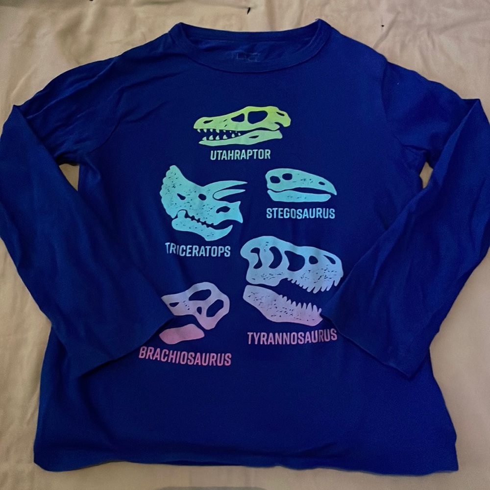 Dino shirt (Childrens Place)